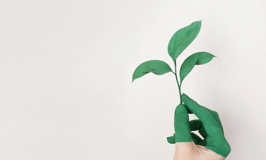 How has hemp refined the slow fashion movement