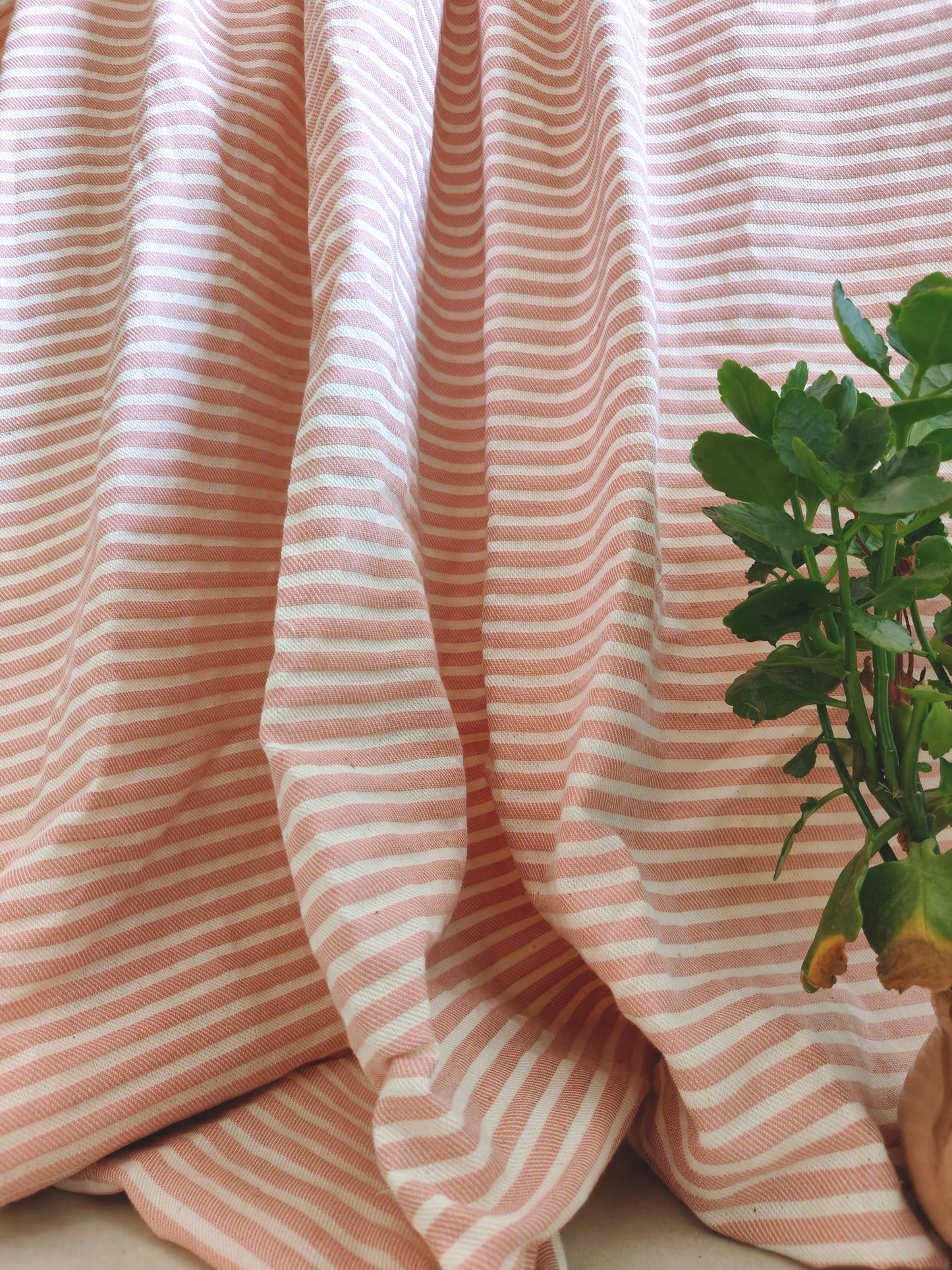 Bhuj Pecan - Premium Handloom