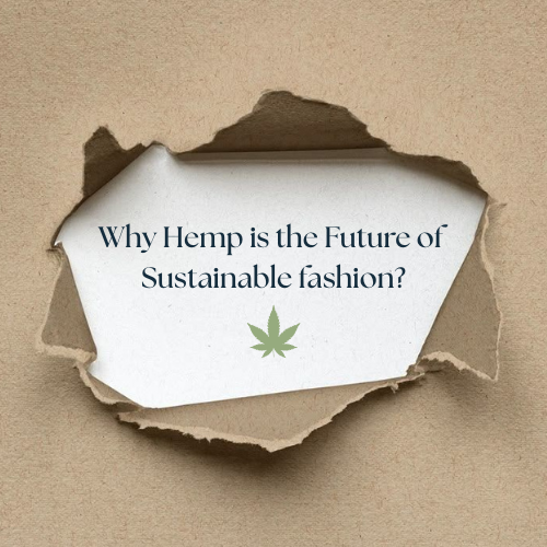 Why Hemp is the Future of Sustainable Fashion