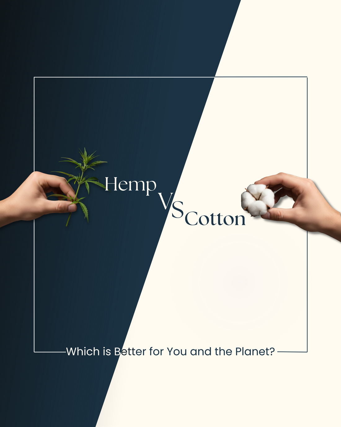 Hemp vs Cotton: Which Is Better for You and the Planet?