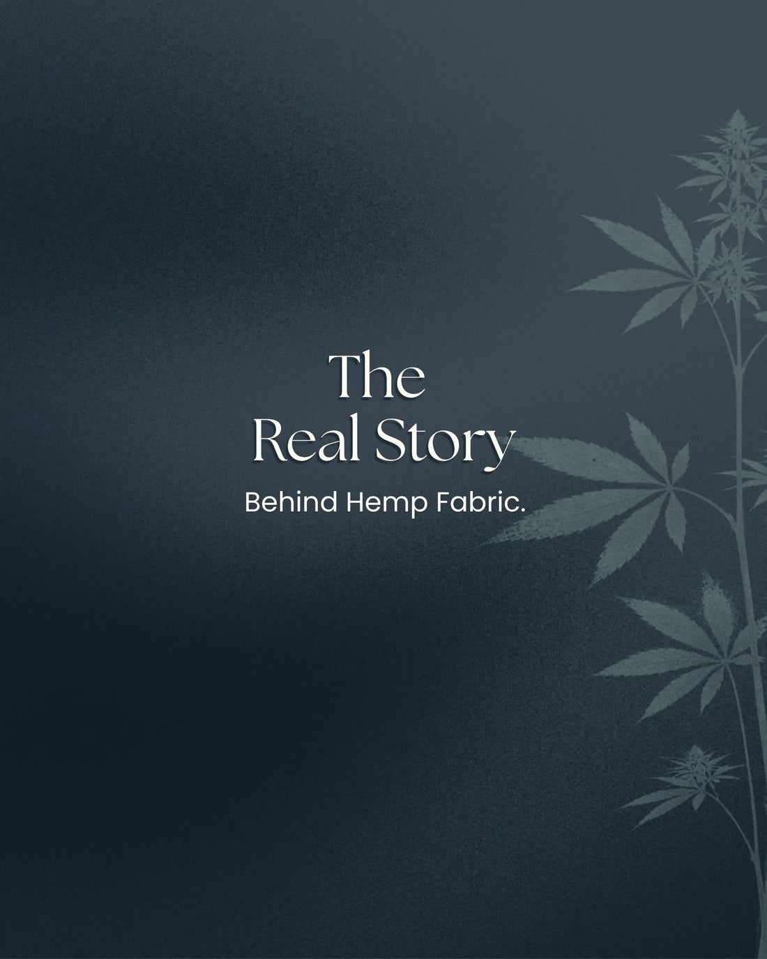 The Real Story Behind Hemp Fabric